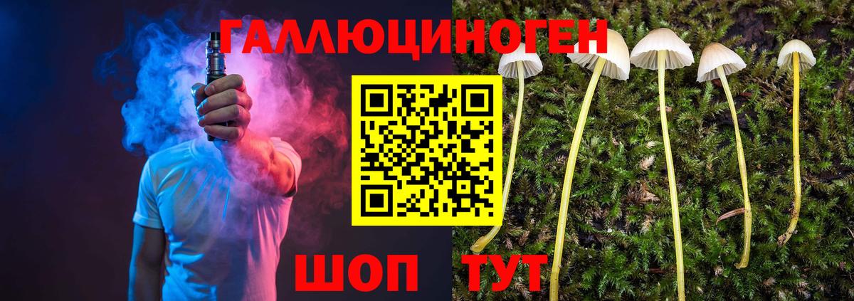 Псилоцибиновые грибы мицелий  Вход с VPN  Галлюциногенные грибы Cubensis  Губаха 