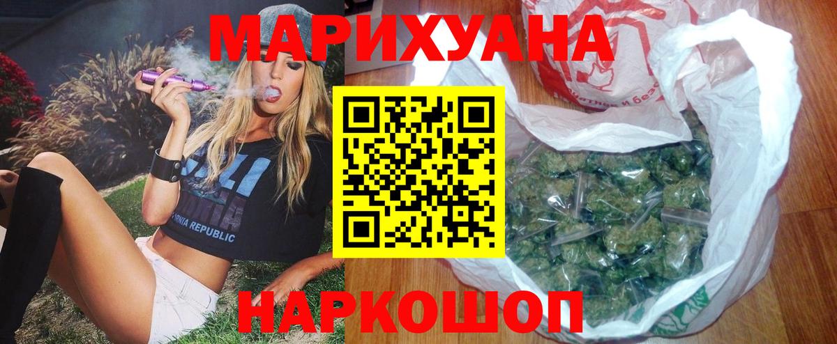 Каннабис планчик Губаха