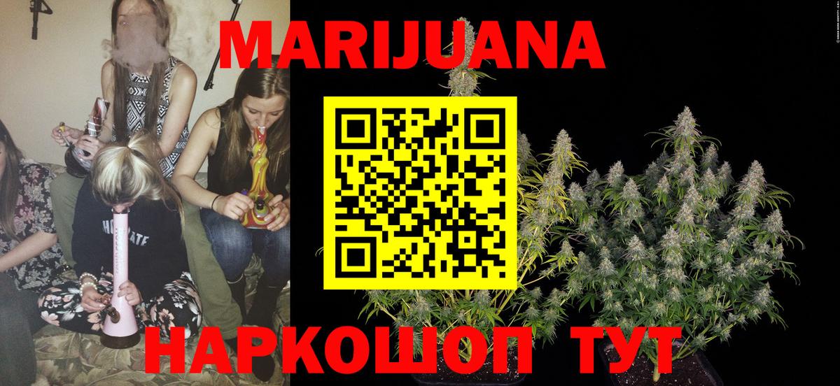 Бошки марихуана сатива  Канабис сатива  Вход с VPN  Губаха 
